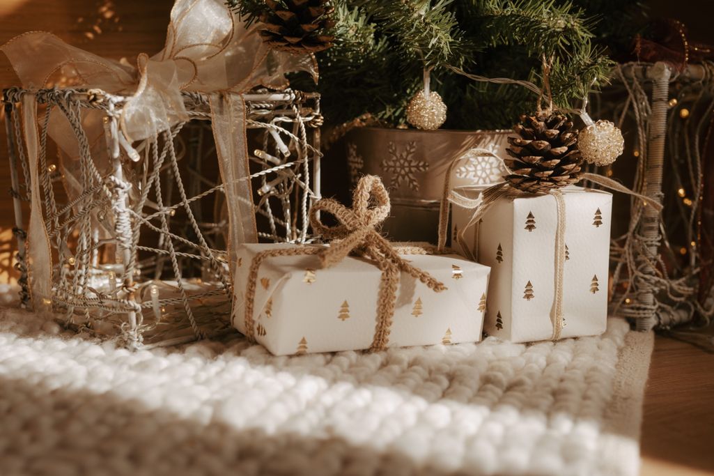 Christmas Photo Studio Saffron Walden